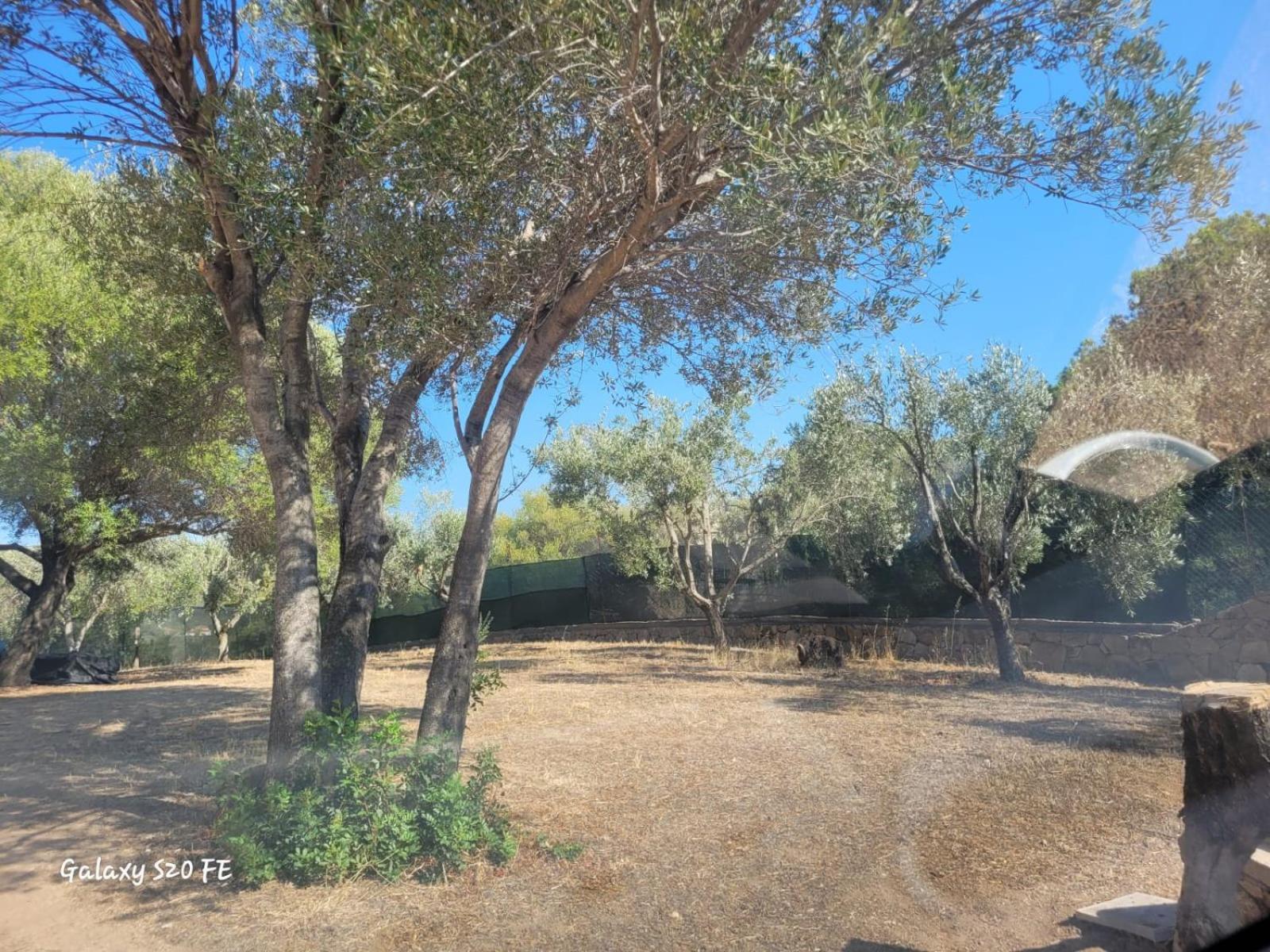 Apartamento Residenza Degli Ulivi Olbia Exterior foto